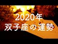 【2020年】双子座(ふたご座)の運勢💫年間リーディング【タロット占い】