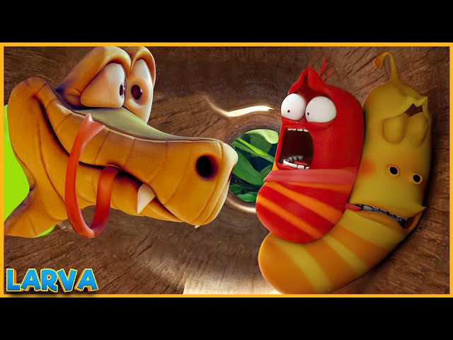 Snake Island 🦗 Larva Season 5 🌷Larva Terbaru 2022 🌴 Funniest Cartoons 🍉 Larva Tuba Show class=