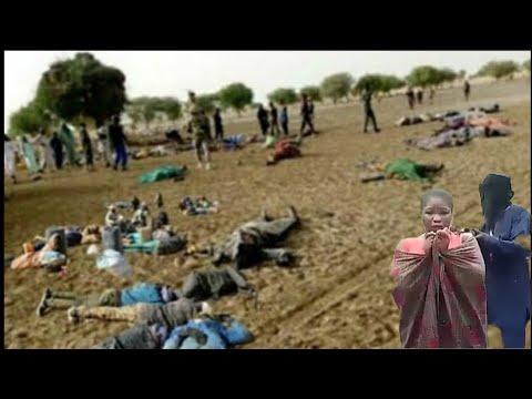 Yan Bindiga Sun Saki Videon Yan Makarantar Da Suka Sace Wannan Wani Irin Masifa Ne Arewa Ke Ciki