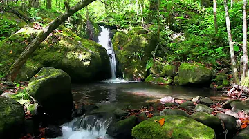 Musique Relaxante   Vidéo HD   Paysages, Nature    Relaxation