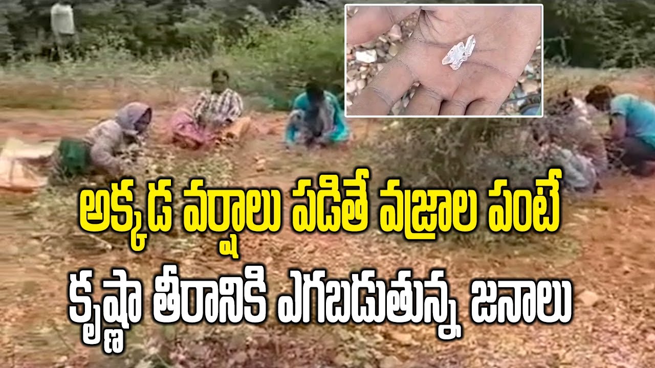 Diamonds Hunt Post Rains | Treasures Draw Tourists in Krishna District | AP News | Samayam Telugu