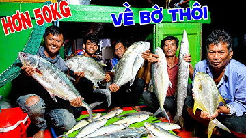 Trúng Bầy Cá Ngon Hơn 50kg Câu Cá Biển Cà Mau