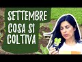 Cosa seminare a SETTEMBRE nell'orto