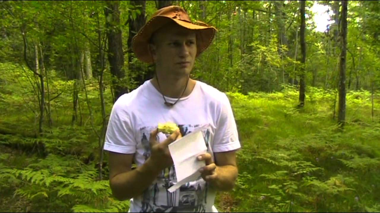 Bild från NATUR - OSKAR #13 tejpar öronen & skräpar ner