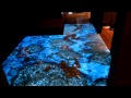 Interactive floor with sea fish!