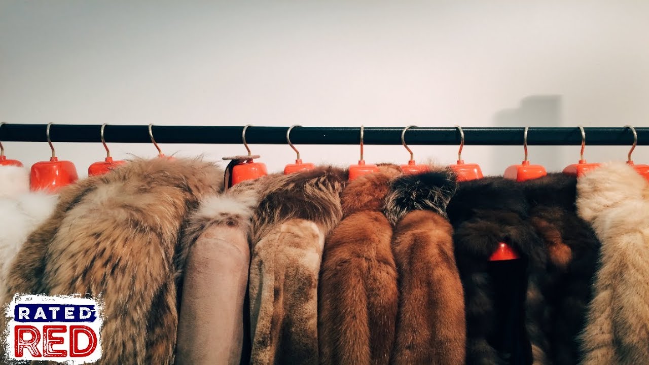 San Francisco Is Now the First Major U.S. City to Ban the Sale of Fur
