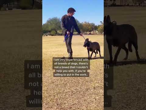 वीडियो: अपने कुत्ते को कैसे संयोजित करें
