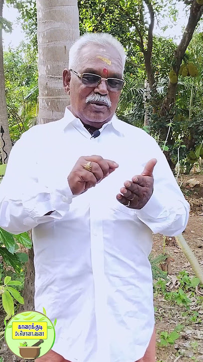 வண்டு, பூச்சி , தேள் கடிச்சா உடனே இதை பண்ணுங்க | Home Treatment For Insect bites In Tamil