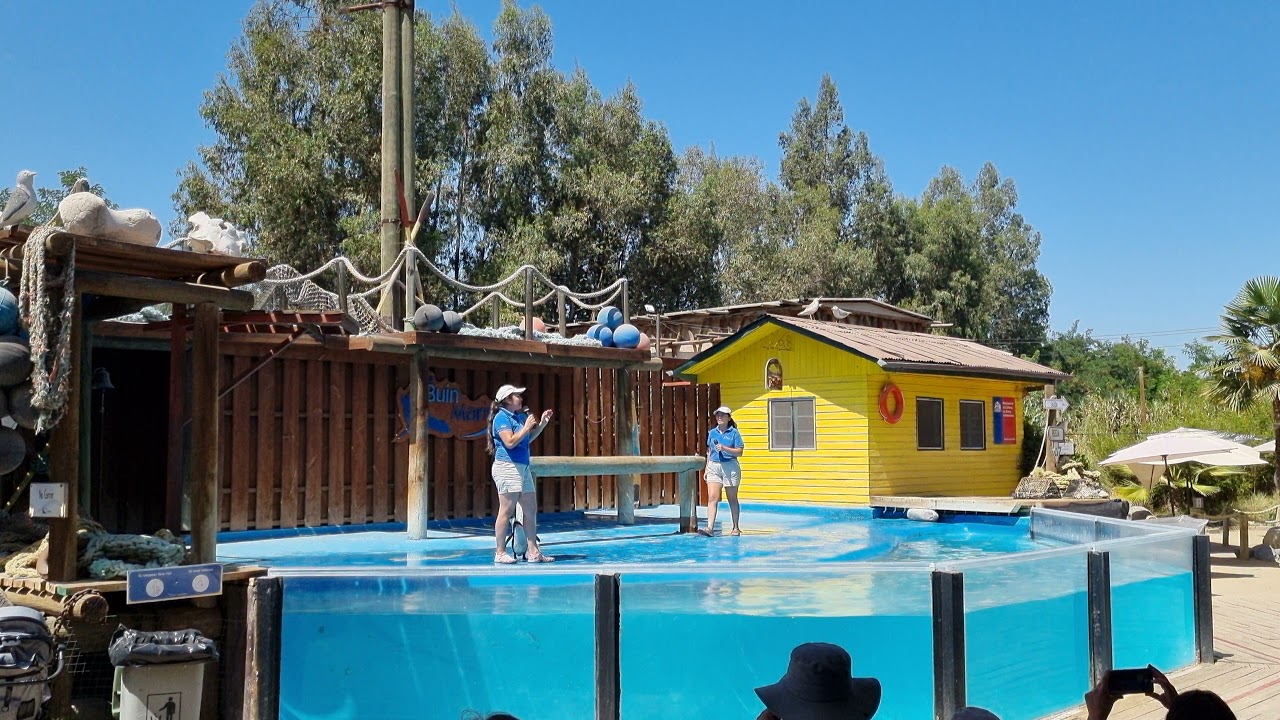 Show Buin Marino 2022