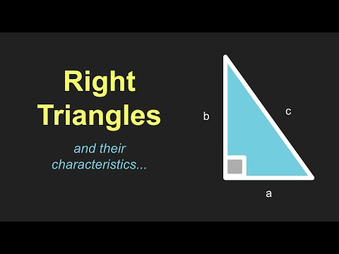 Right Triangles and Their Characteristics