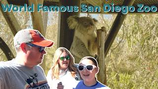 San Diego Zoo | Full walking tour of an American Treasure