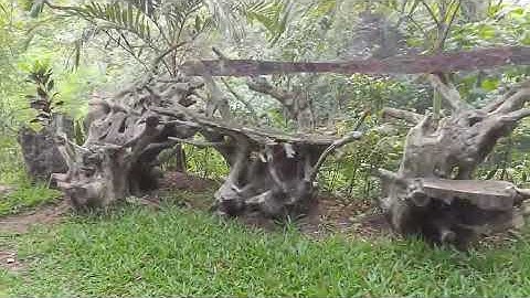 Jangan Tonton Bagi Yang Belum Nikah..!!KEHIDUPAN SUKU JAWA DESA TERPENCIL JAWA TENGAH