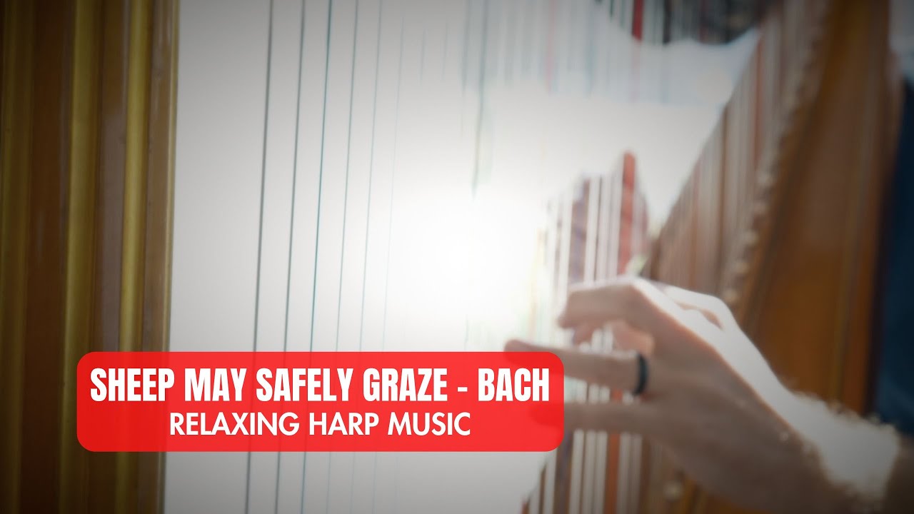 Sheep May Safely Graze by Bach - Relaxing Harp Music - YouTube