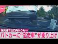 【アメリカ】“逃走車”急発進で出口向かうも…パトカーに乗り上げ『世界のミダシ』