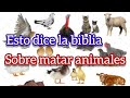 ESTO DICE LA BIBLIA SOBRE MATAR A LOS ANIMALES.