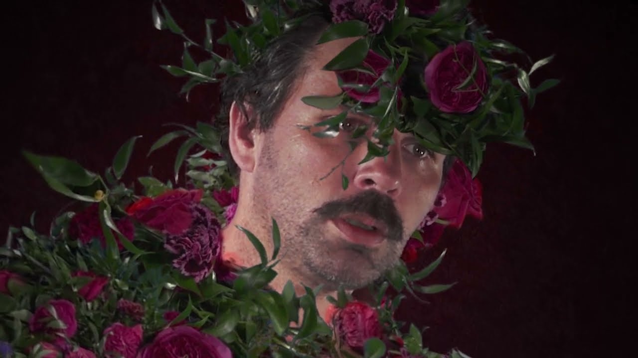 Collections of Colonies of Bees - Harms [OFFICIAL MUSIC VIDEO]