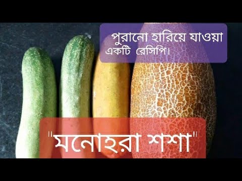 ভিডিও: ভরা শসা