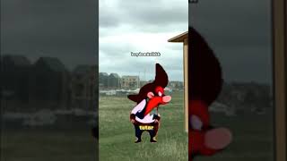 Haydo Şarkı Söylüyor
