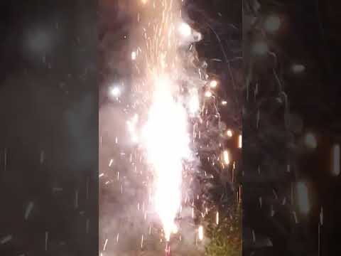 July 4th Backyard