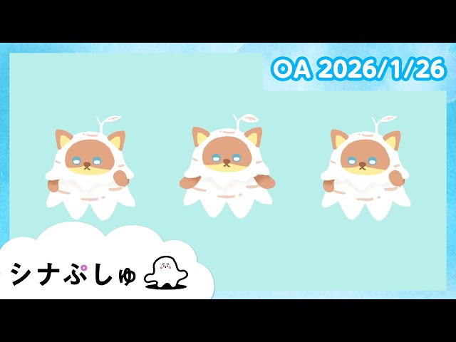 赤ちゃんが喜ぶ】シナぷしゅ公式26/01/26│赤ちゃんが泣き止む・知育の