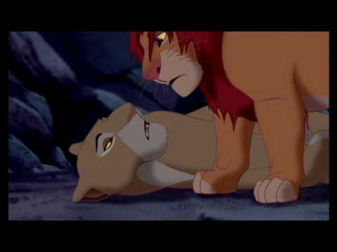 lion king - if we hold on togheter