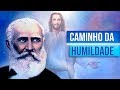 CAMINHO DA HUMILDADE | Bezerra de Menezes