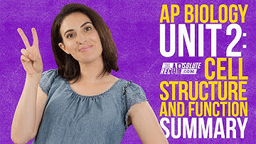 AP Biologie Eenheid 2: Celstructuur en Functie Samenvatting
