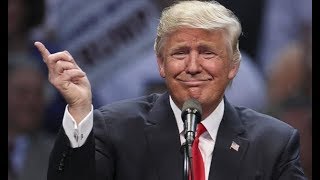 Media Melts Down Over Trump Twitter Joke GIF