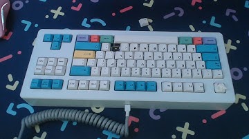 Ethereal Panda vs Drop Holy Panda v1