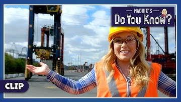 How do Shipping Cranes work?🏗️Maddie