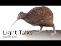 Kiwis: Conservation and Characteristics