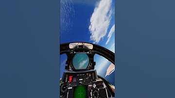 F-14 Tomcat wanted to go left so we went left