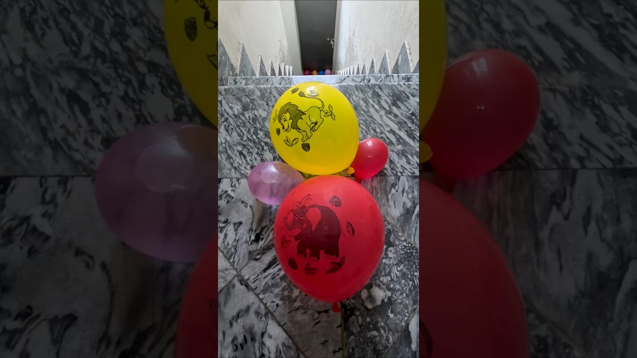 POV: Lion Balloon vs Elephant Balloon Drop Test 💦🎈 | ASMR Stair Challenge with Two Small Balloons