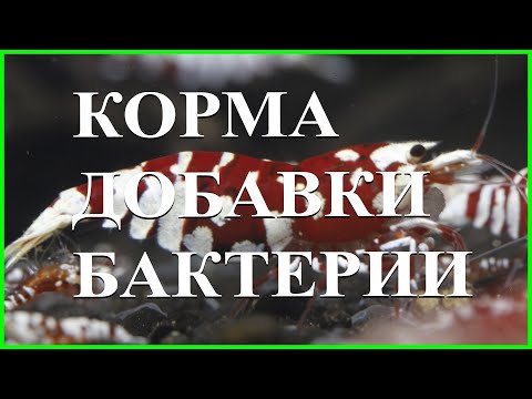 Видео: Какви са ароматните добавки към тестото