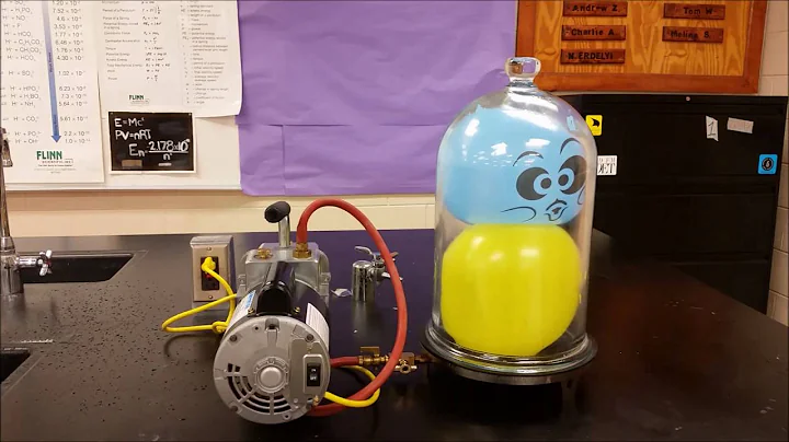 Balloons and Shaving Cream