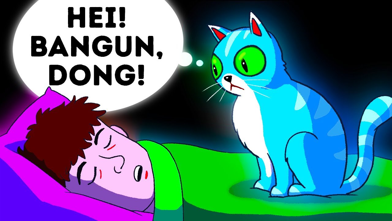 Cara Hewan Peliharaanmu Mencoba Memperingatkan Kalau Kamu Dalam Bahaya