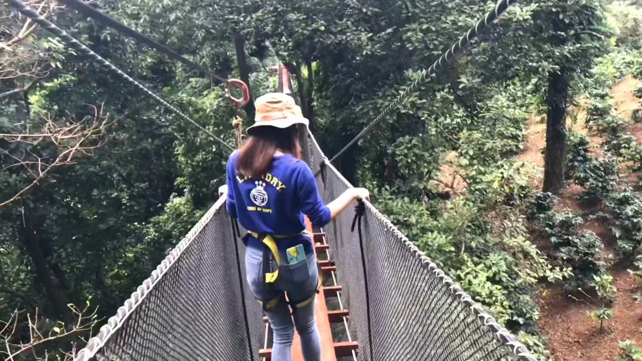 TREE TOP WALK & ZIPLINE ดอยตุง จ.เชียงราย YouTube