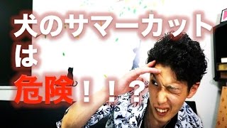 犬のサマーカットは危険 熱中症 熱射病 Youtube 犬のサマーカットは危険 熱中症 熱射病 Youtube