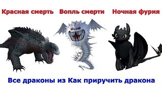 Сравнение всех драконов из мультфильмов Как приручить дракона