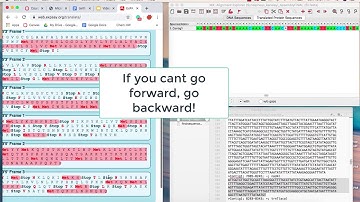 Manual Gene Re-Annotation Tutorial | Caroline Ennis