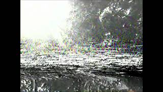 Forest Rays Bad Tracking - VHS EFFECT Royalty Free Stock Footage - VidTii FSF