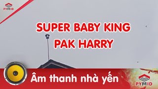 Âm thanh nhà yến Super Baby King - Pak Harry