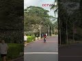 Hikvision PTZ cameras are visible everywhere in Shenzhen Bay Coastal Ecological Park.