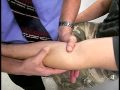 Varus and Valgus Elbow Stress Tests - YouTube