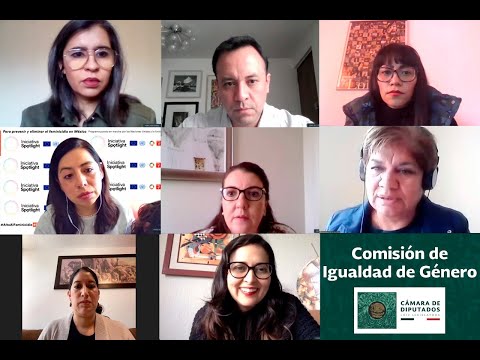 En vivo / Reunión virtual de la Comisión de Igualdad de Género con ONU Mujeres México