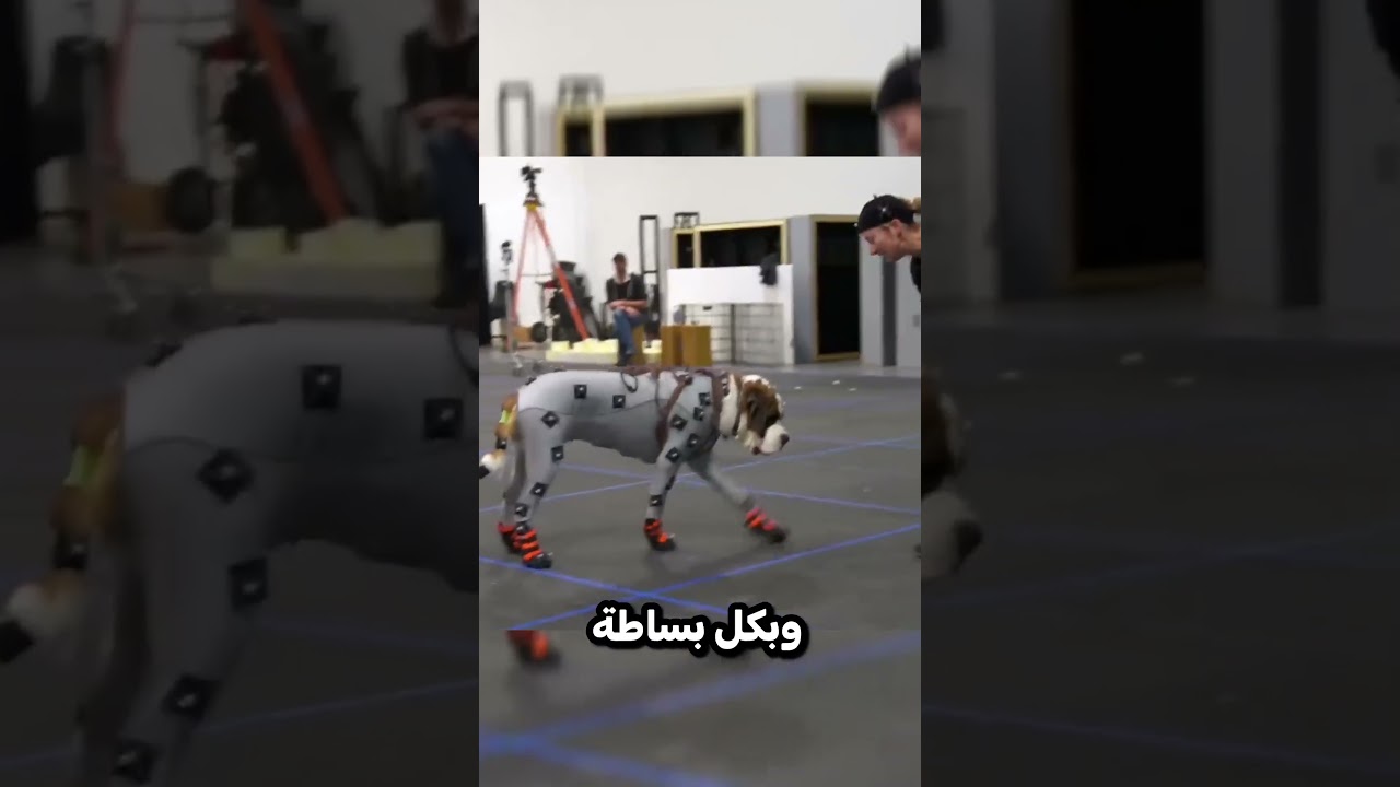 الكلاب تمثل حركات الخرفان😨🐑!  #gaming #شورتس #شورت #العاب #gameshorts #صنع_العاب