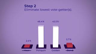 Ranked Choice Voting in Maine’s 2nd District