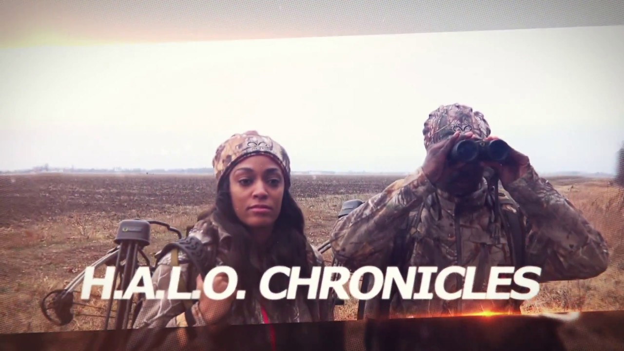 HALO Chronicles New Web Series
