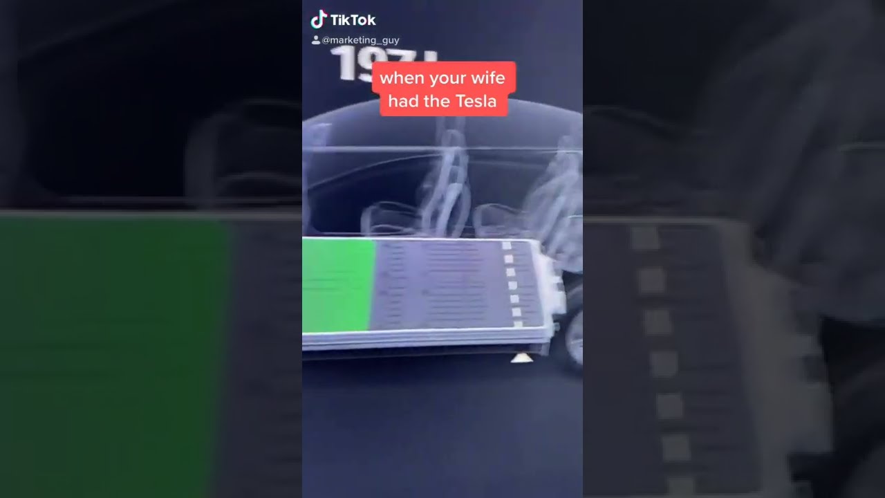 The wife vs Tesla - Future Tech 