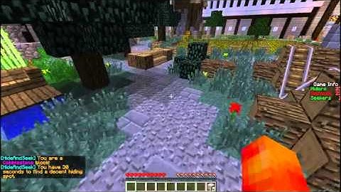Minecraft: Hide and Seek on the hive!! :D 1